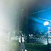 tavia_44718