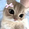 anna_47778