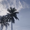 Devadarsana