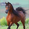 heywelcome_14500