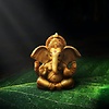 Himanshu03