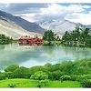 shakeel98