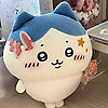 user_956636