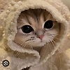 emerka_78432
