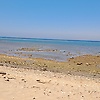 tony_44777