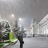 faris_16045