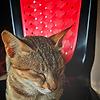 jack_51873