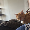 audrey_71377