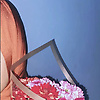 auza_48357