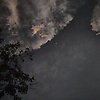 ona_54590