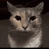 user_541576