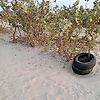 ebrima_46086