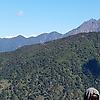 rohini_18351