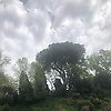 kan_82823