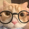 lannarin_11727