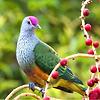 tahtah_47096