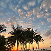 thapani_94701