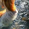 alice_31931