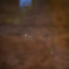 ap_28374