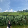 jia_37507
