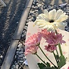 nina_80715