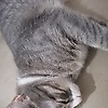 angel_82769