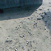 early_80502