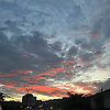 lilis_08
