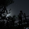 miro_36009