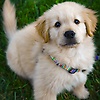 abhi_52911