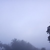 silma_58933