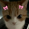 eyma_79854