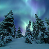 assu_38736