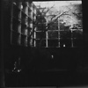 Shutter_Bug