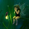 haroon_95595