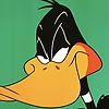 Ayben1996