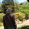nn_64896