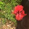 parvana_36637