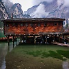 alfred_84313