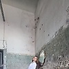 sofia_95768