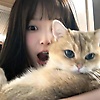 wenli_11768