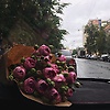 aleyna_46271