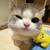 nukie_71580