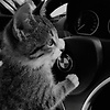 Viktoriana_2790