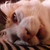 michicusi_97442