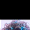 ritik_77992