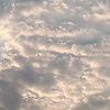 zuuu_67918