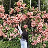 soumya_47525