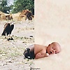 zineb_31954