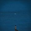 marwane_55454